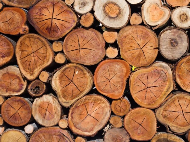 Environnement bois CABD