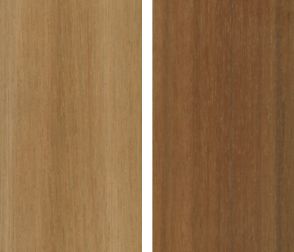 Essence Eucalyptus