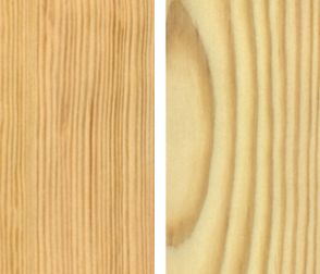 Essence Pin Sylvestre